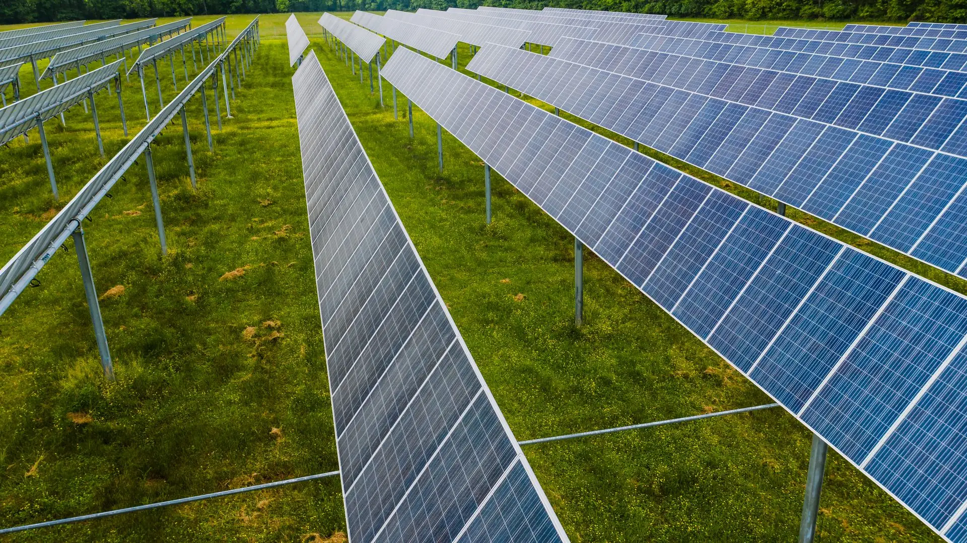Filas de paneles solares en campo abierto
